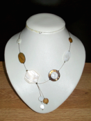 Collection 1; Coquillage