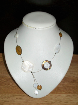 Collection 1; Coquillage